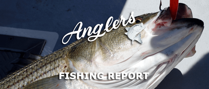 Anglers Fishing Report
