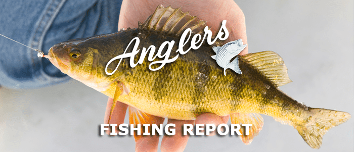 Chesapeake Bay Fishing Report March