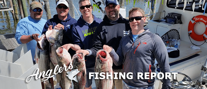 anglers rockfish season