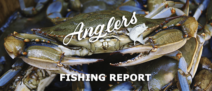june 12th bay fishing report
