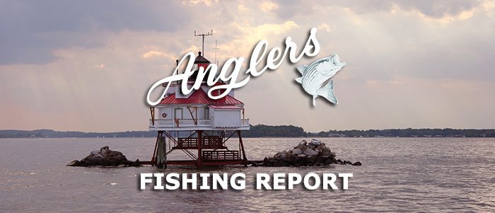 July 13 Fishing Report