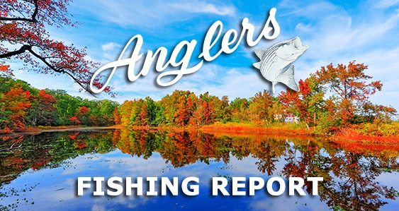 Anglers Fishing Report 9-28-2015