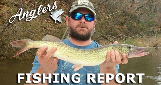 Anglers Chesapeake Bay Fishing Report November 30th
