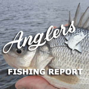 Fall Chesapeake Bay Fishing Report