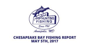 Chesapeake Bay Fishing Report Anglers Sport Center Annapolis Maryland